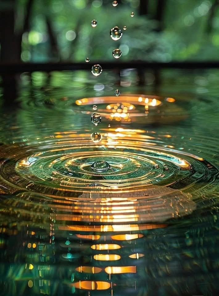 Positive Pathways Mental Health and Wellness